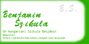 benjamin szikula business card